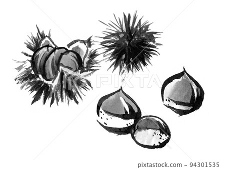 A Japanese-style illustration of chestnuts (ink painting) drawn using the bleeding of the brush 94301535