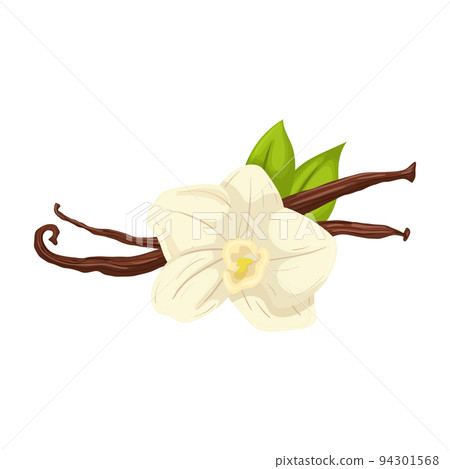 vanilla spice cartoon vector illustration vanilla spice cartoon vector illustration 94301568