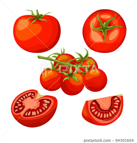 tomato red set cartoon vector illustration tomato red set cartoon vector illustration 94301604
