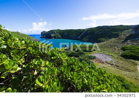 小笠原南島鯊魚池 94302971