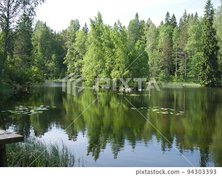 Nature of Finland ④ Nature of Finland ④ 94303393