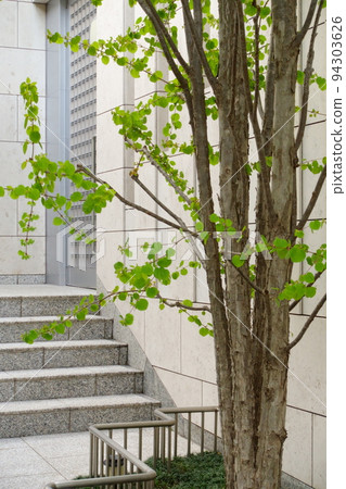 Entrance of Wakaba 94303626