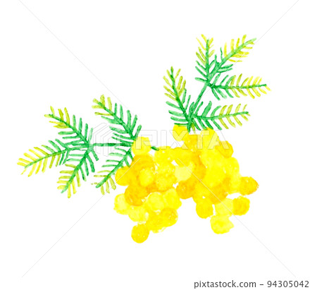Mimosa (silver acacia) cartoon Spring flower hand-drawn watercolor illustration material Mimosa (silver acacia) cartoon Spring flower hand-drawn watercolor illustration material 94305042