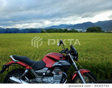 Bike, rice fields and morning clouds Bike, rice fields and morning clouds 94305793