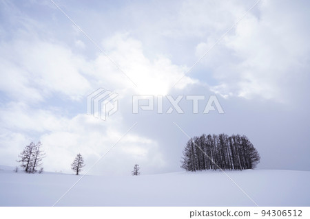 snow scene in Hokkaido 94306512
