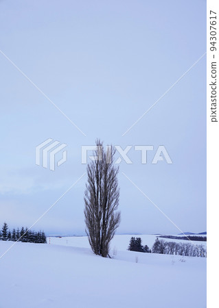 snow scene in Hokkaido 94307617