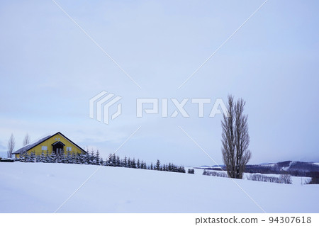 snow scene in Hokkaido 94307618