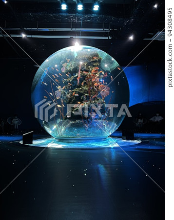 優雅地生活在球體中的魚 優雅地生活在球體中的魚 94308495