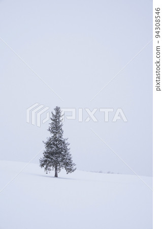 snow scene in Hokkaido 94308546