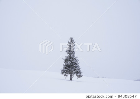snow scene in Hokkaido 94308547
