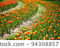 tulip lane 94308857