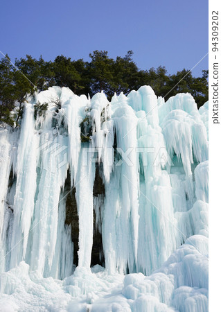 冰節 94309202