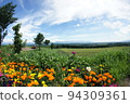 Hokkaido flowers, fields and tractors 94309361