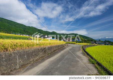 穿越鄉村的道路，中野的梯田 94309677