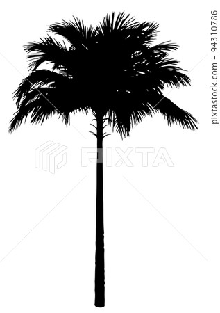 Palm tree black silhouette 94310786