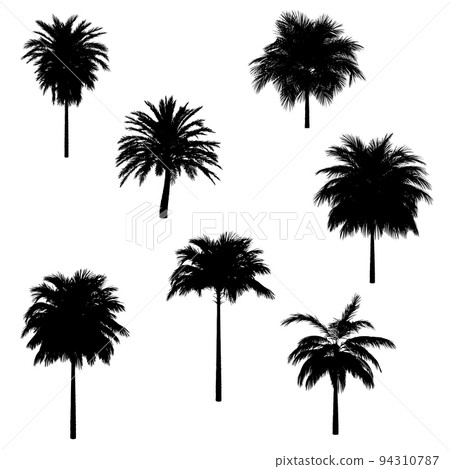 Palm trees black silhouette 94310787