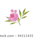 Purple peony flower with buds and green leaves vector hand drawn illustration isolated on white. 94311435