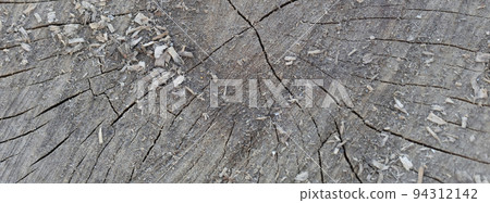 Wooden texture of an old tree with crevices. Wooden texture of an old tree with crevices. 94312142