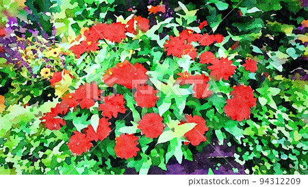 Red flowers grow in the garden 94312209