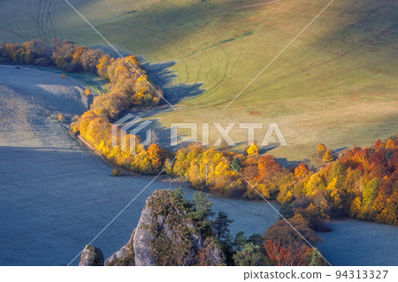 Trees in the valley in autumn colors. Trees in the valley in autumn colors. 94313327