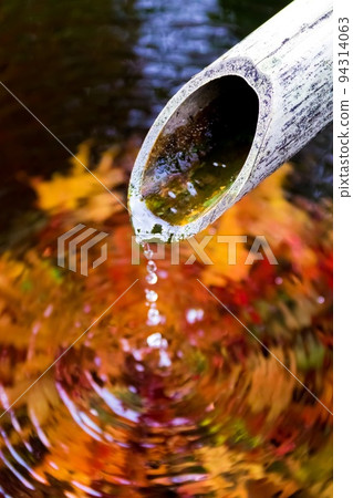 Autumn dew on autumn leaves Autumn dew on autumn leaves 94314063