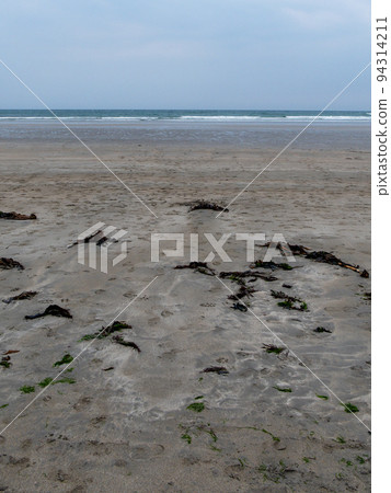 Seaweed on a sandy beach. Cloudy weather on the Atlantic coast. Minimalistic seascape, the horizon line above the sea. Cloudy sky. Seaweed on a sandy beach. Cloudy weather on the Atlantic coast. Minimalistic seascape, the horizon line above the sea. Cloudy sky. 94314211