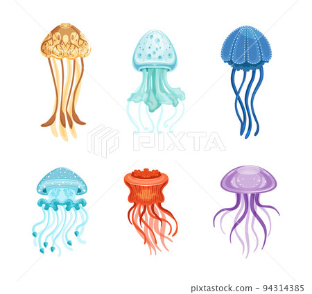 Colorful Jellyfish with Umbrella-shaped Bell and Trailing Tentacles Vector Set 94314385