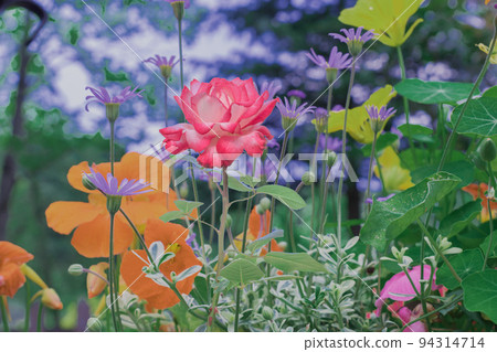 Colorful flowers blooming in the spring flowerbed 94314714