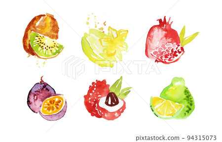 Hand Drawn Watercolor Exotic Fruit Painting Isolated on White Background Vector Set 94315073