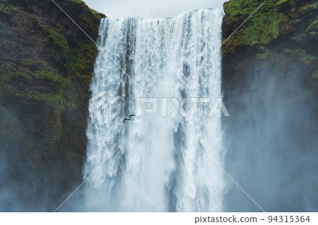 Seagull bird flying through powerful Skogafoss waterfall in summer 94315364