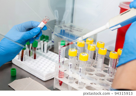Scientist preparing blood samples for karyotipe and fluorescence in situ hybridization in the  laminar air flow cabinet. 94315913