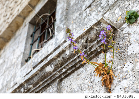 Courtyard of the Monastery of Pantokrator on the island of Corfu 94316983