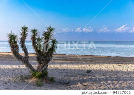 On Astrakeri beach, island of Corfu On Astrakeri beach, island of Corfu 94317001