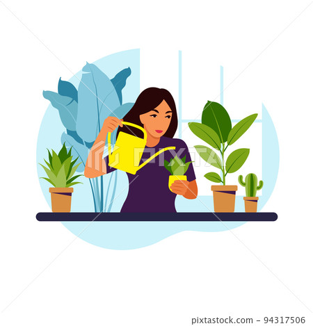 Woman watering houseplants at home. Lifestyle, home garden and houseplants concept. Flat vector illustration. Woman watering houseplants at home. Lifestyle, home garden and houseplants concept. Flat vector illustration. 94317506