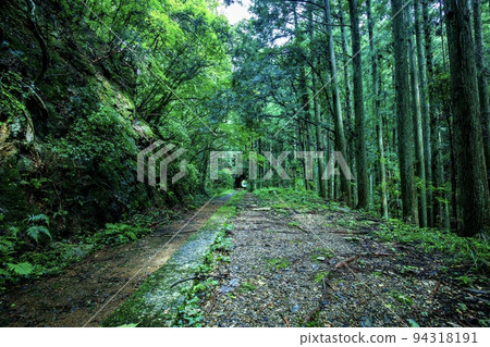 豐橋鐵道舊田口線三河大草站新城市遺跡 94318191