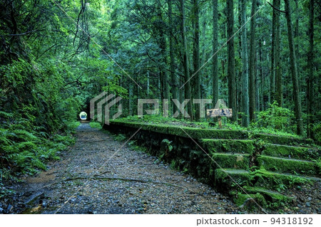 豐橋鐵道舊田口線三河大草站新城市遺跡 豐橋鐵道舊田口線三河大草站新城市遺跡 94318192