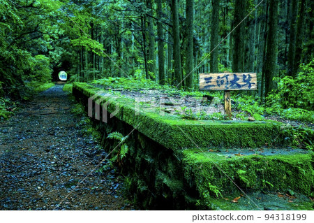 Shinshiro City Remains of Mikawa-Okusa Station on the Toyohashi Railway Old Taguchi Line 94318199
