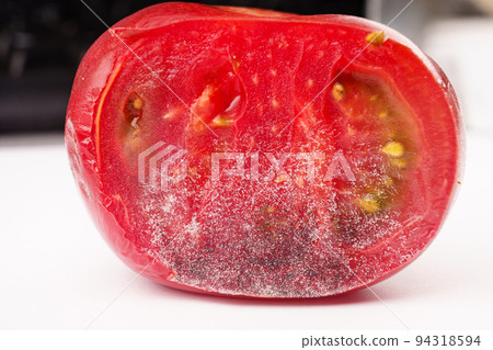 a piece of tomato covered with white and black mold. a piece of tomato covered with white and black mold. 94318594