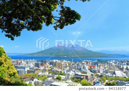 [鹿兒島縣]從城山公園展望台看到的櫻島和鹿兒島市 94318977