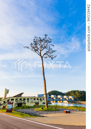 Rikuzentakata Miracle Pine Tree and Youth Hostel Ruins Rikuzentakata Miracle Pine Tree and Youth Hostel Ruins 94319442