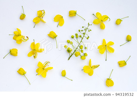 Cassia fistula flower on white background. Cassia fistula flower on white background. 94319532