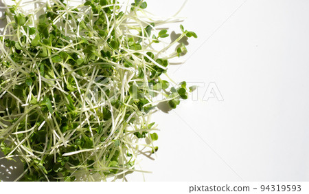Organic kale sprouts. Healthiest vegetables concept 94319593