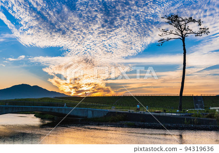 Rikuzentakata Miracle Pine Morning view 94319636