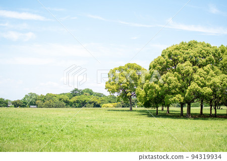 東京都水本公園中央廣場/葛飾區 東京都水本公園中央廣場/葛飾區 94319934