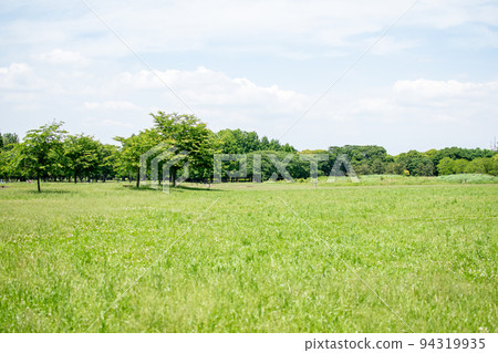 Mizumoto Park Central Square / Katsushika Ward, Tokyo 94319935