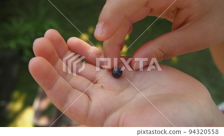 丸蟲和孩子的手 丸蟲和孩子的手 94320558