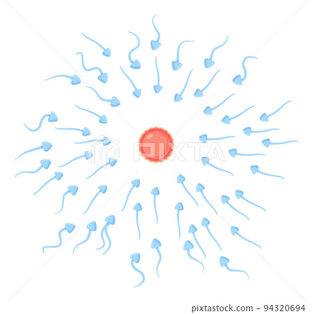 spermatozoa moves to egg sell. Fertilization, reproduction, insemination concept. Illustration isolated on white in flat cartoon style 94320694