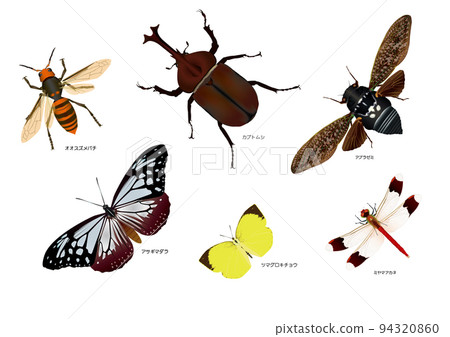 insect selection 51 94320860