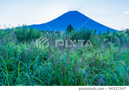 (Shizuoka Prefecture) Asagiri Plateau Inokashira's power and Diamond Fuji, just before 94322547