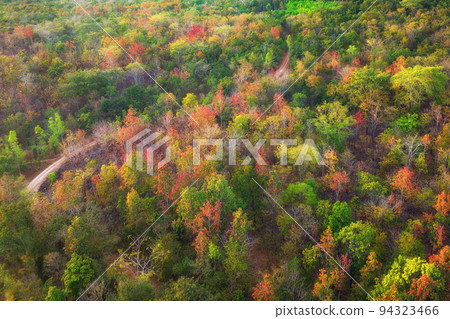 Aerial view of thick forest in autumn. Colorful forest Autumn Foliage. 94323466